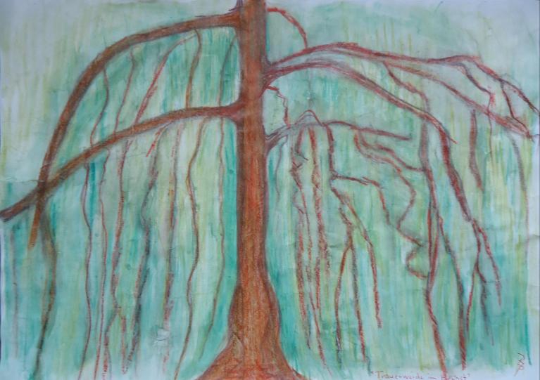 Trauerweide im Herbst 30x42cm/40x50cm 2011